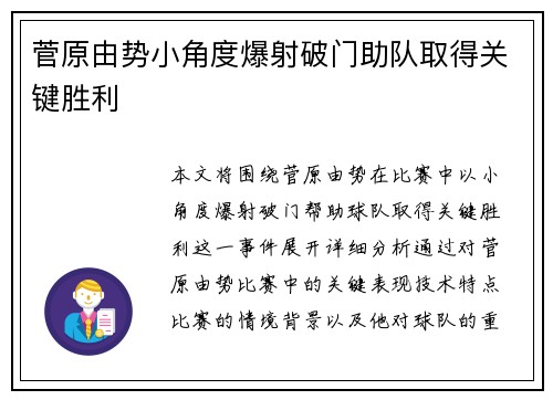 菅原由势小角度爆射破门助队取得关键胜利